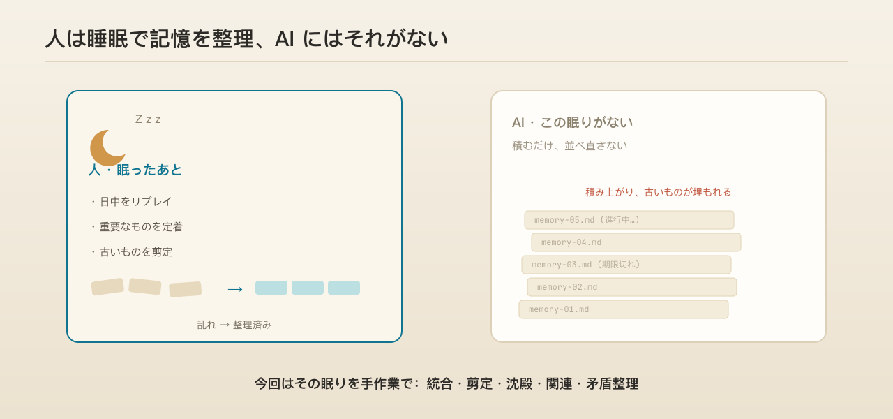 人は睡眠の中で日中の記憶をリプレイし並べ直す。AI はこの一歩を欠き、ただ積み上げるだけ