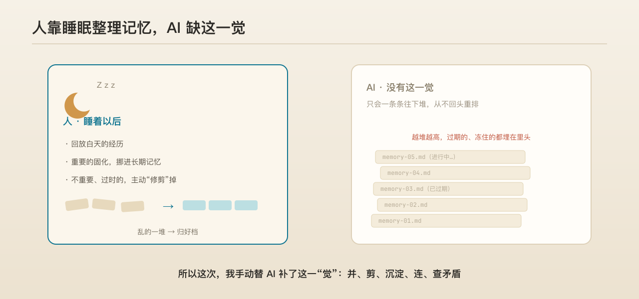 人在睡眠里回放、重排白天的记忆；AI 缺这一步，只会一味往下堆